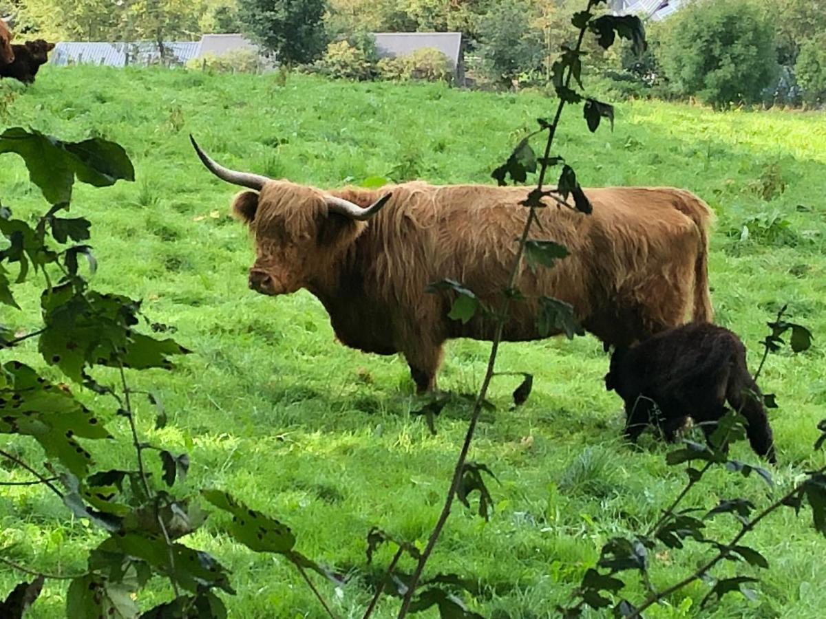 Schoene Aussicht Sauerland By Koelbel Familienurlaub Mit Hund 施马伦贝格 外观 照片